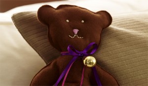medved-teddy-1